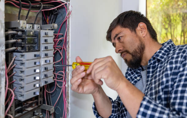 Best Electric Panel Repair  in Grandwood Park, IL